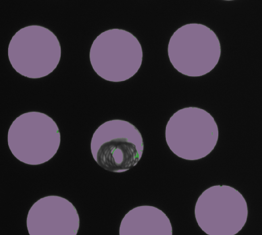 Blob